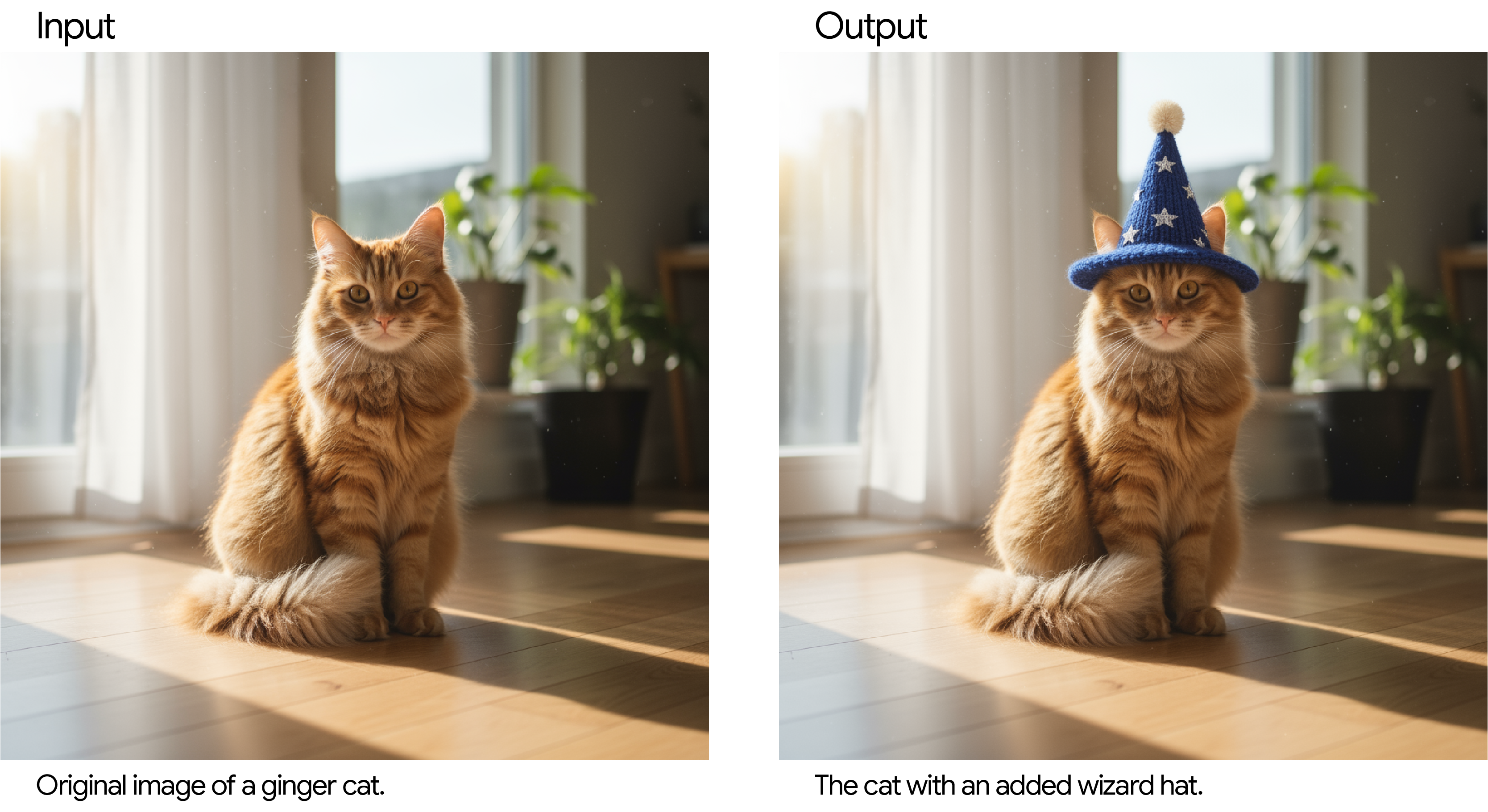 Cat_Gemini2.5-Prompt