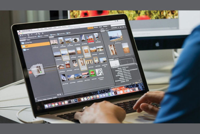procesul-de-creare-website-sarghy-design